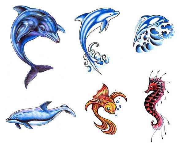 plancha_Fauna_Marina.jpg