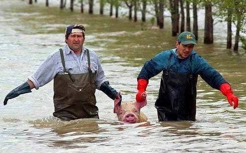 Smeshni Snimki 80.jpg