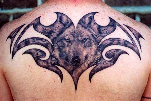animal_04.jpg