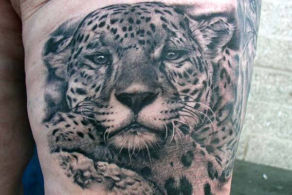 animal_12.jpg
