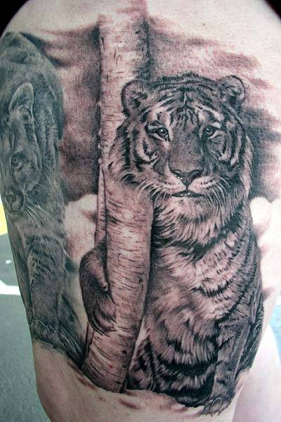animal_14.jpg