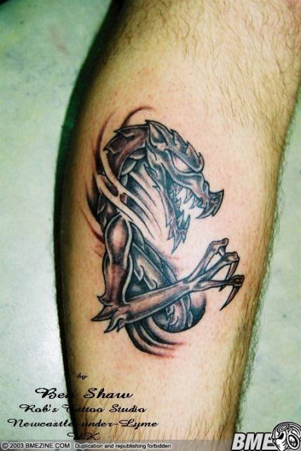 anotherbgdragon.jpg