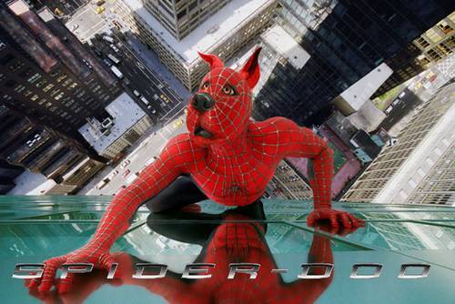 spider-doo.jpg