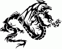 rys13.gif