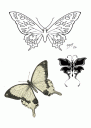 vlin5.gif