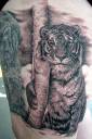 animal_14.jpg