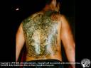 Tattoo442.jpg