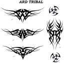 ARD_tribal_2.jpg