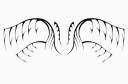 butterflys.png